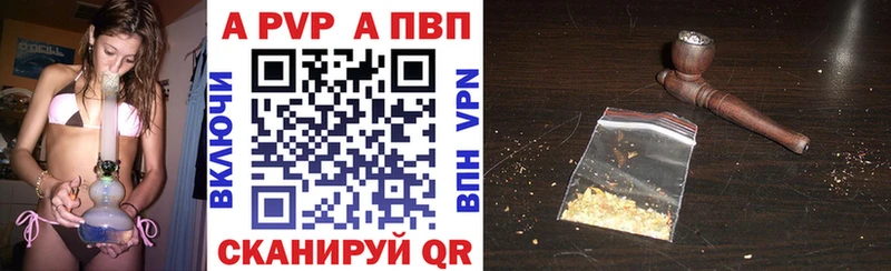 KRAKEN ссылка  Чита  Alpha PVP СК КРИС 